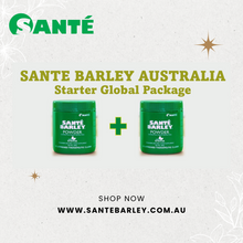 Load image into Gallery viewer, Starter Global Package