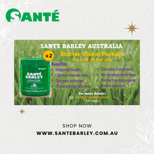 Load image into Gallery viewer, Starter Global Package